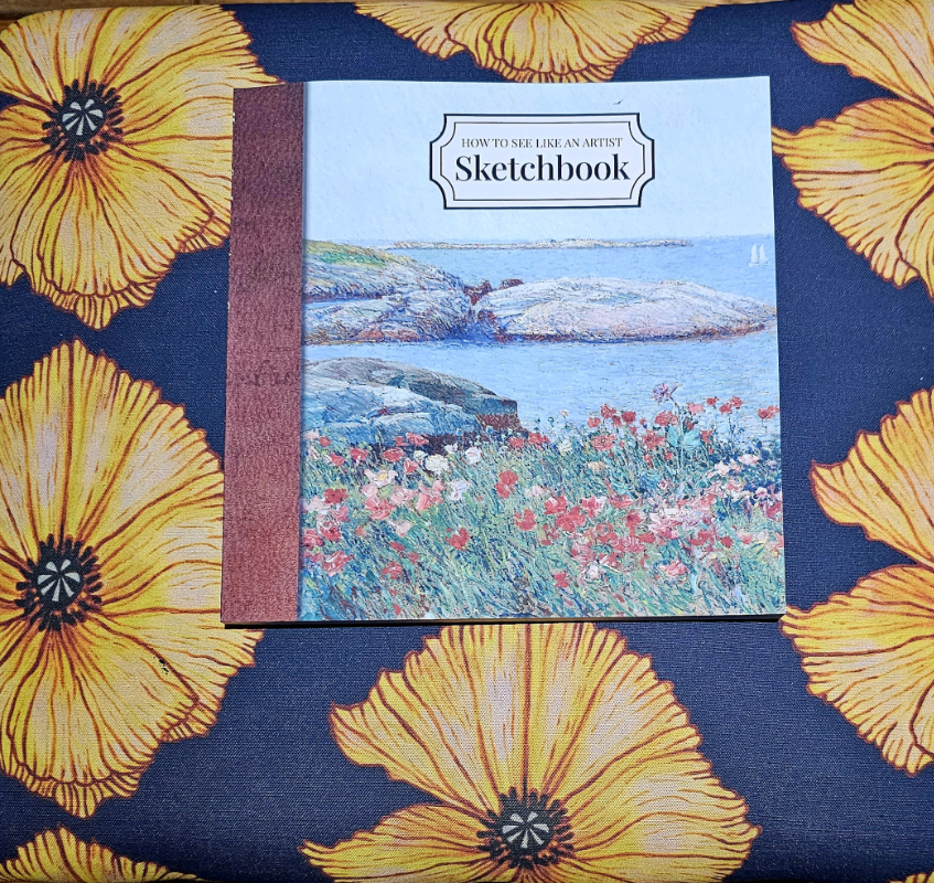  How to See Like an Artist Sketchbook Now Available 